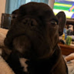 Meet your Posher, Abrie